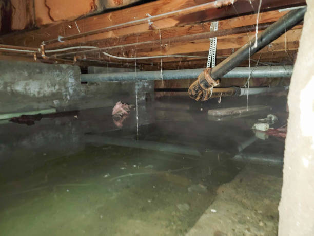Best Sewage cleanup and water damage restoration  in Pleasant Hill, CA