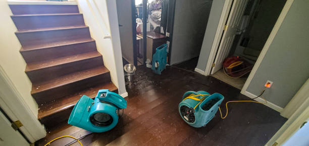 Best Mold removal after water damage  in Pleasant Hill, CA