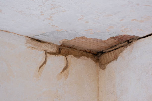 Best Professional water damage repair  in Pleasant Hill, CA
