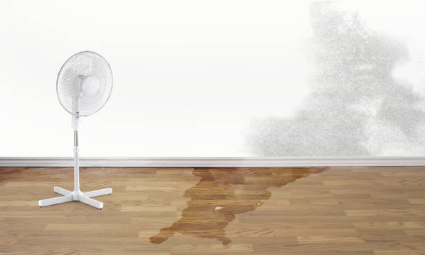 Best Basement water damage restoration  in Pleasant Hill, CA