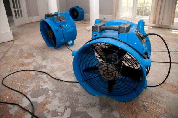 Best Water damage contractors near me  in Pleasant Hill, CA